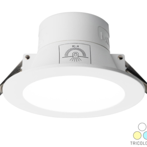 LED Downlight